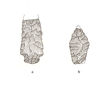 Projectile Points